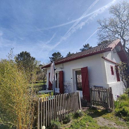 D&D, La Maison Des Ecureuils Lesperon  Luaran gambar